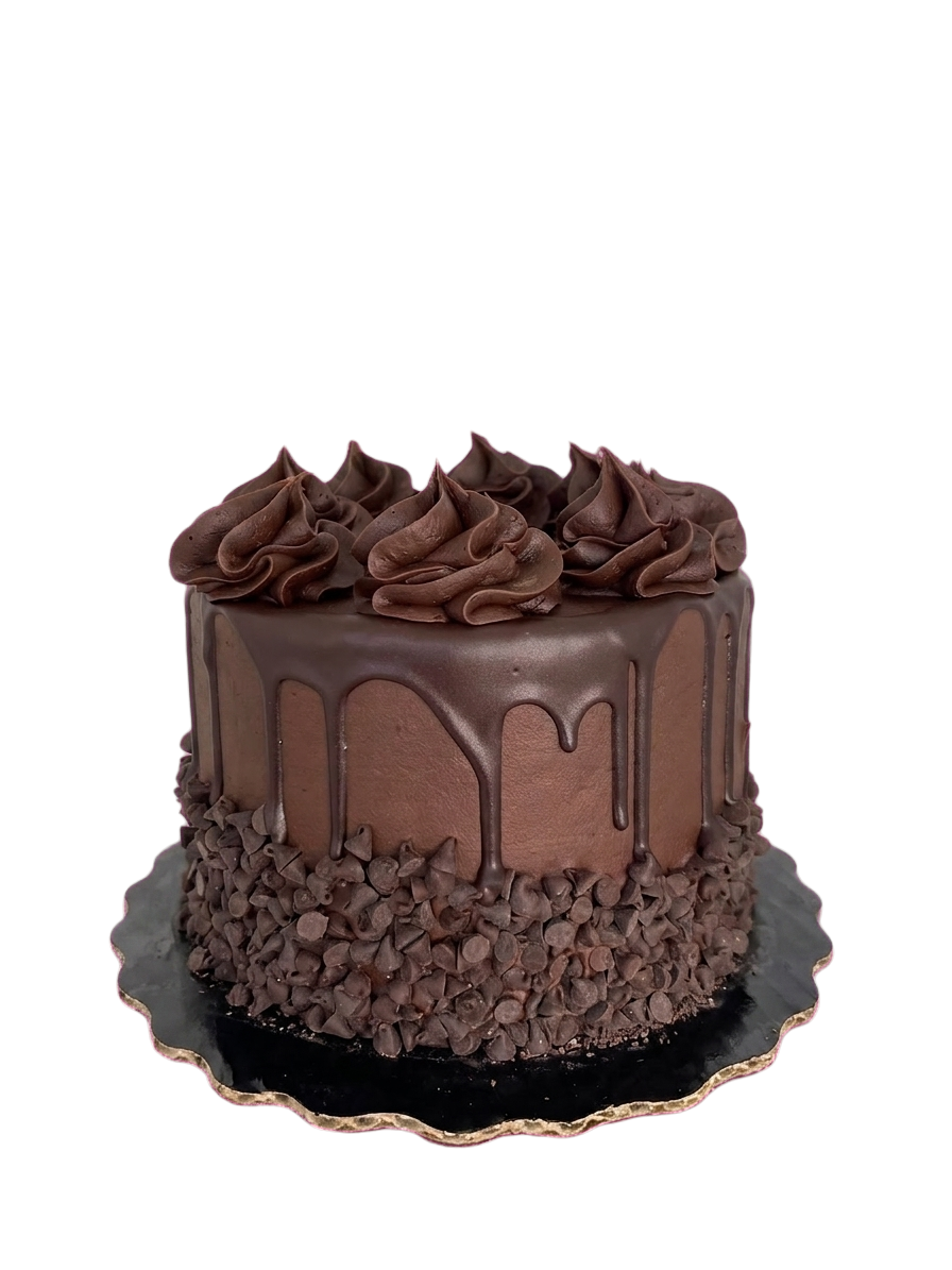 Triple Chocolate case cake
