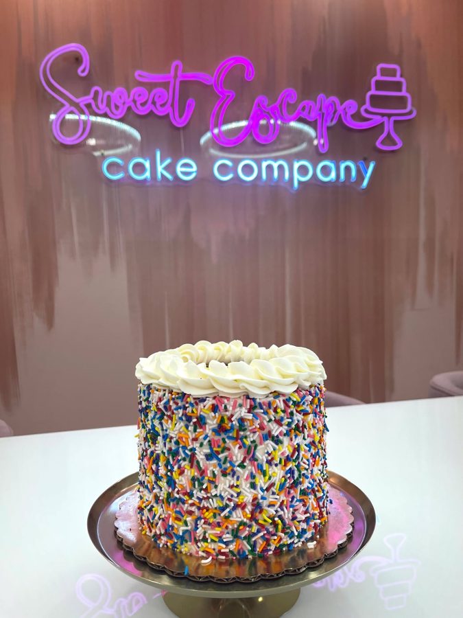 A round birthday cake covered in vibrant multi-colored sprinkles with white buttercream frosting swirls on top.