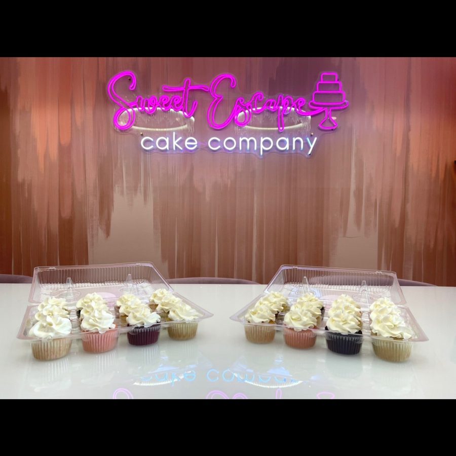 Two clear plastic containers hold a total of twelve cupcakes featuring swirled white frosting and wrappers in light pink, tan, and dark purp